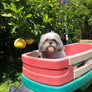 Meet your Posher, Porto